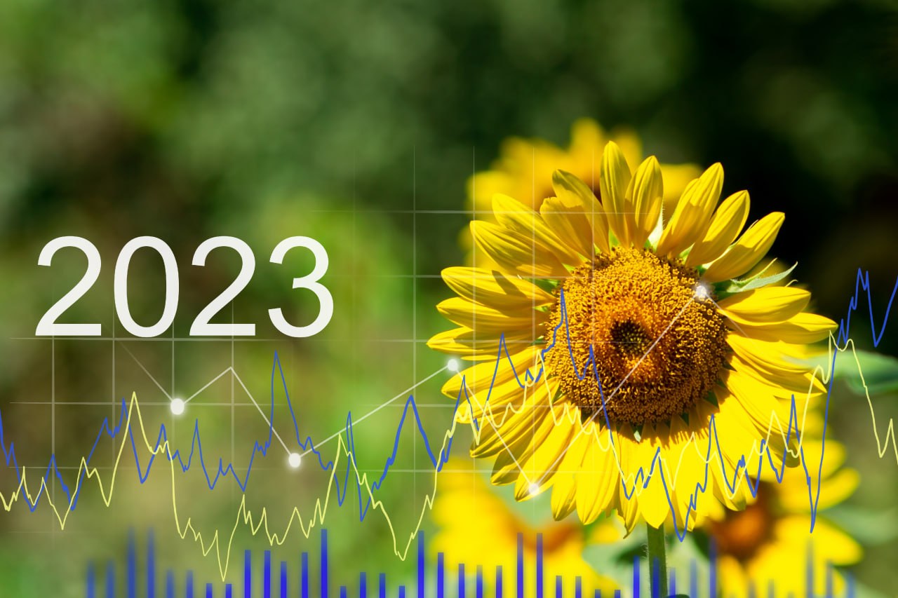Динаміка цін на соняшникову олію: від чого залежить у 2022-2023 році