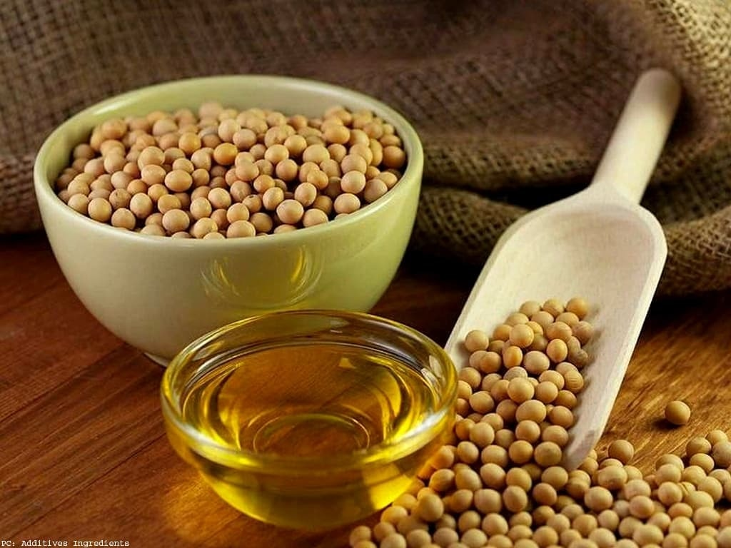 Soybean oil in bulk: why you need a responsible supplier and where to find one
